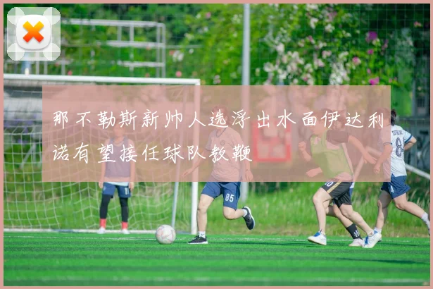 那不勒斯新帅人选浮出水面伊达利诺有望接任球队教鞭